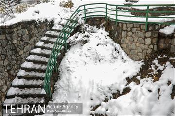 برف زمستانی پارک جمشیدیه 5