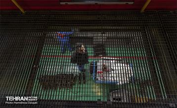 به وقت خدمت؛ اورهال و نوسازی قطارهای شهری تهران 10