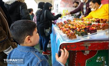 جشنواره انار «صد دانه یاقوت» 21