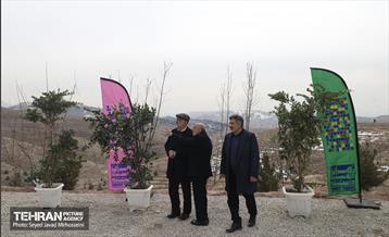 آیین روز درخت‌کاری و پایان پروژه کاشت ۲۵۰۰ هکتار کمربند سبز پایتخت  57