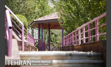 بوستان گلابدره 19