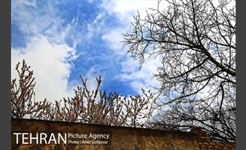 وردیج ، دنیایی از زیبایی 18