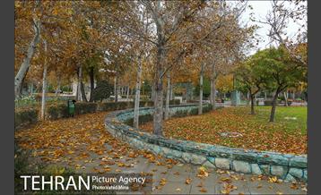 پاییز در بوستان رازی 20