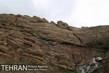 وردیج ، دنیایی از زیبایی 14