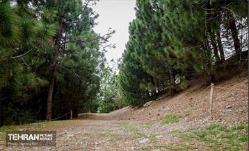 باغ گیاه‌شناسی 12