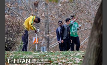 مسابقه پیاده روی و جهت یابی در پارک ملت 26