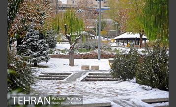برف پاییزی در تهران 10
