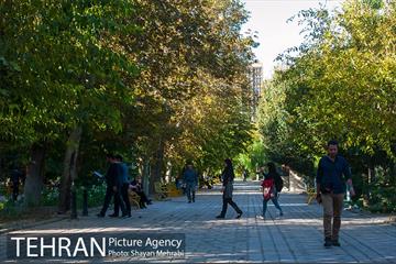 بوستان هنرمندان (ایرانشهر) 28