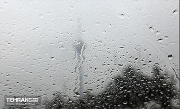 بارش باران زمستانی در تهران 19