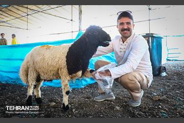 غم هایتان، قربانی شادی هایتان 14