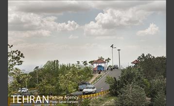 بوستان جنگلی لویزان 22