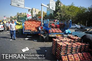 میوه فروشان خیابانی 10