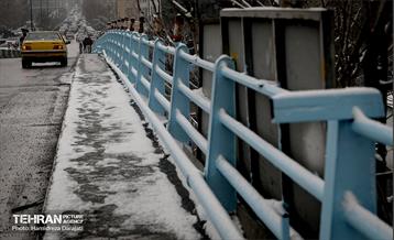 برف چهره تهران را سپیدپوش کرد 27