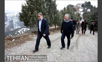 کاشت ۱۰۰ هزار اصله نهال در پارک جنگلی تلو 20