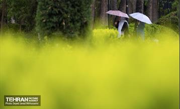 تیتر هوای بهاری تهران 29