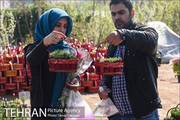 بازار گل شهید محلاتی در آستانه نوروز 36