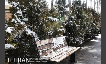 روز برفی در باغ موزه قصر‎ 4