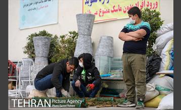 بازار گل و گیاه غرب تهران در آستانه نوروز 26