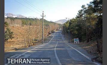 پارک جنگلی سرخه حصار 44