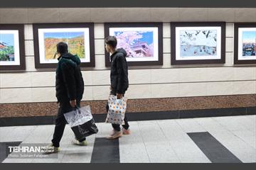 افتتاح نمایشگاه عکس «فرهنگ و آداب و رسوم ژاپن» 35