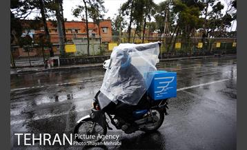بارش باران بهاری در تهران  9