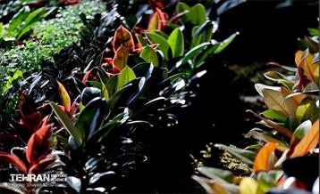 بیستمین نمایشگاه بین‌المللی گل و گیاه 52