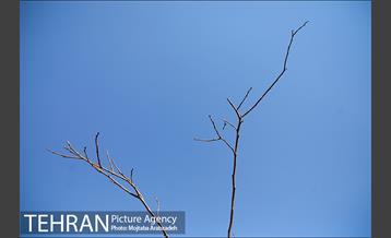 آیین درختکاری دوچرخه سواران تهران 27