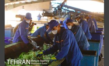 بازدید شهردار از 495 پروژه عمرانی ،فرهنگی،ترافیکی در سطح مناطق 22 گانه پایتخت 37