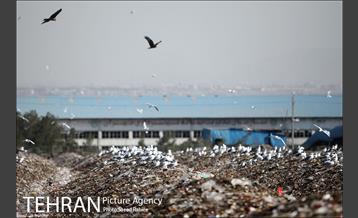 بازدید پذیرفته شدگان در آزمون دستیاران مدیرشهرداری تهران از مرکز آرادکوه 33