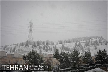 بارش نخستین برف پاییزی در تهران 7