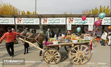 پنجمین جشنواره خرمالوی کن 24