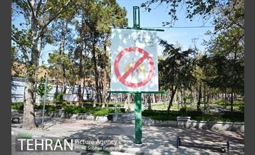 روز طبیعت متفاوت شهر تهران-1 41