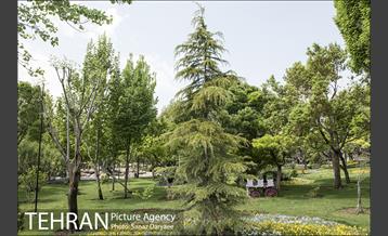 بوستان آزادگان 10