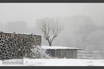 بارش برف زمستانی در تهران 43