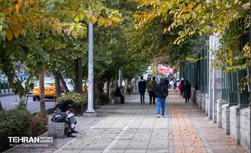 سمفونی رنگ های پاییزی  4