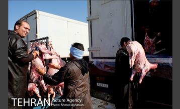 مراسم نمادین حج و عید قربان در آسایشگاه کهریزک 29