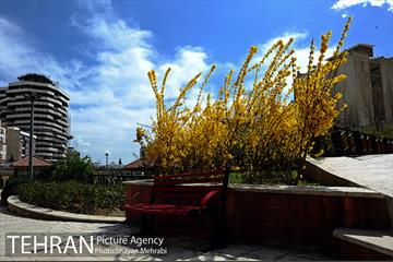 هوای پاک تهران 33