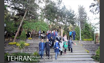 همایش پیاده روی خانوادگی کارکنان شهرداری 11