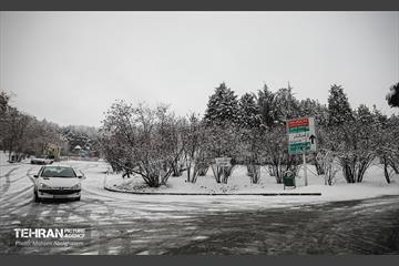 روز برفی تهران - 2 45