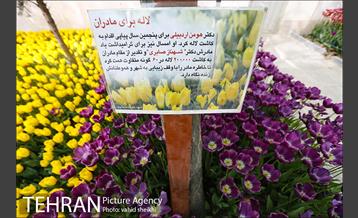 پیاده راه لاله برای مادران 19