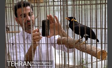 باغ پرندگان تهران 10