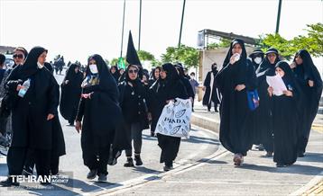 همایش بزرگ کوهپیمایی خانوادگی شهروندان تهرانی 27
