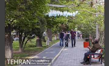 بلوار کشاورز 1