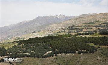 بازدید اصحاب رسانه از کمربند سبز 5