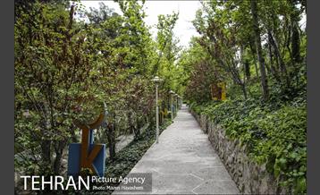 بوستان ساعی 3