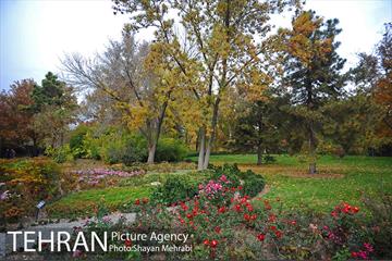 باغ گیاه‌شناسی ملی ایران 58