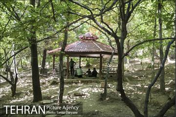 بوستان جمشیدیه‎ 22