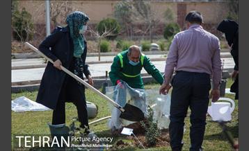 ۱۰۰ نهال به نام ۱۰۰ زن نامدار قرن 20