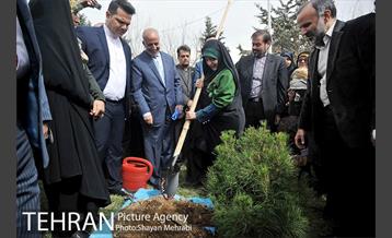 مراسم درختکاری به مناسبت روز مادر 38