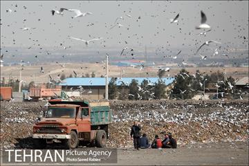 بازدید پذیرفته شدگان در آزمون دستیاران مدیرشهرداری تهران از مرکز آرادکوه 36